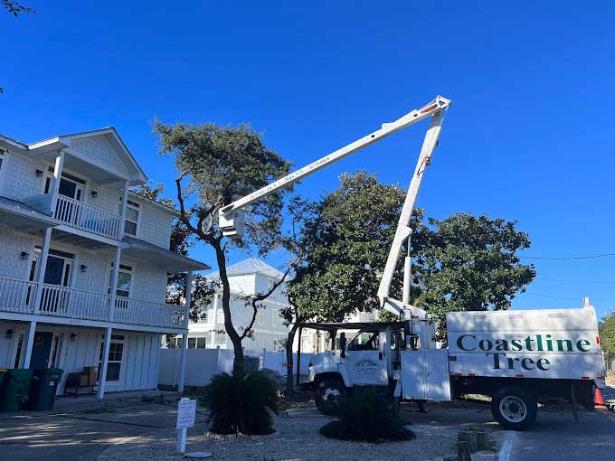 Landscaping & Tree Services in Destin, FL